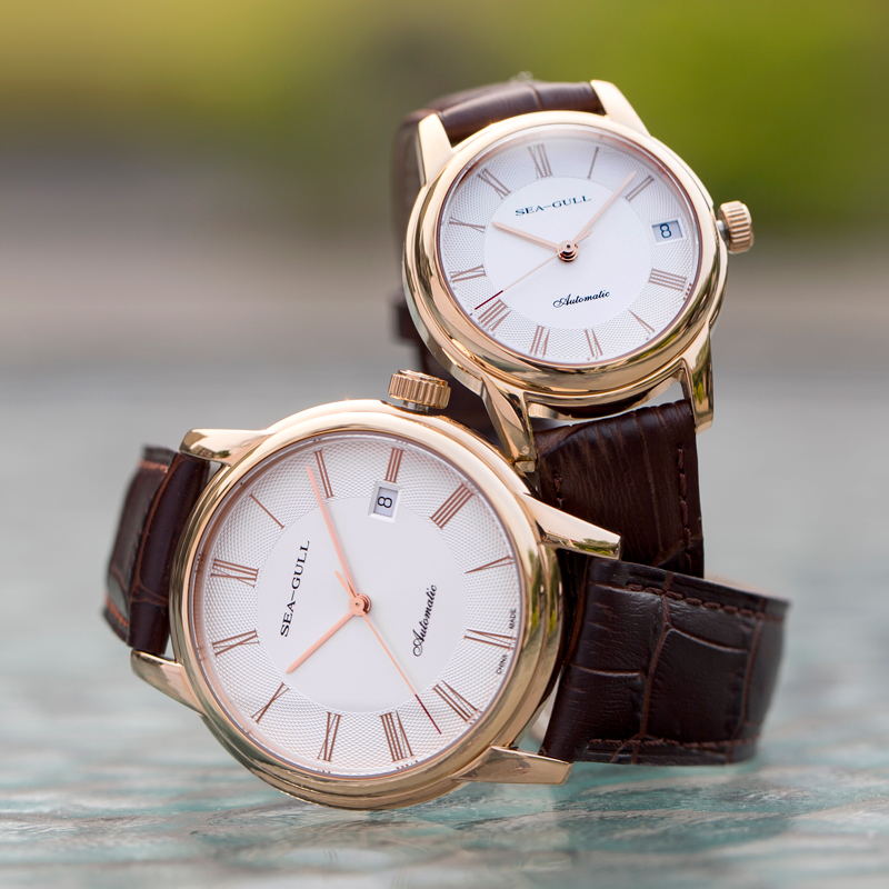 Seagull Men's Mechanical Watch - Seiko Watch Presage 评论和价格